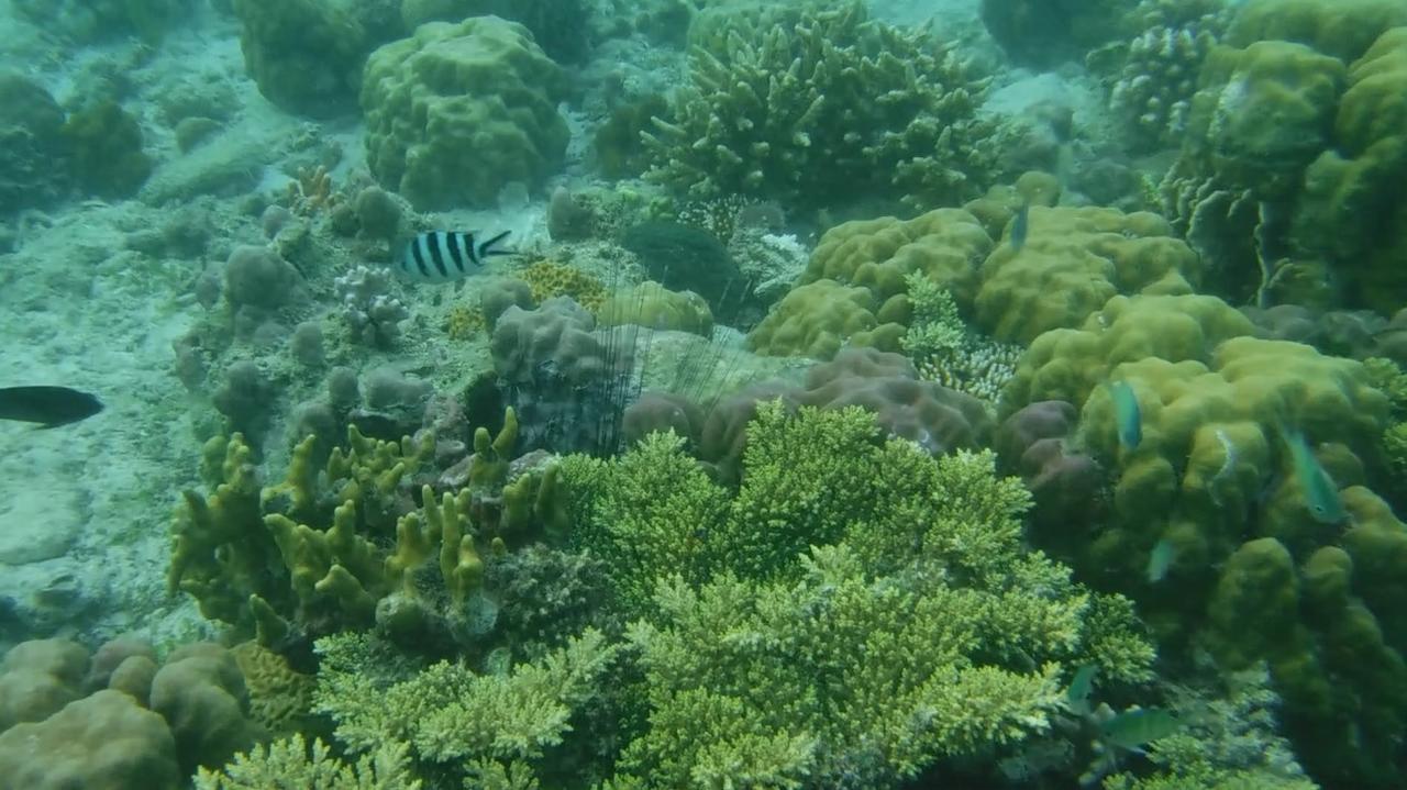 Iris Island Eco Resort Busuanga Kültér fotó